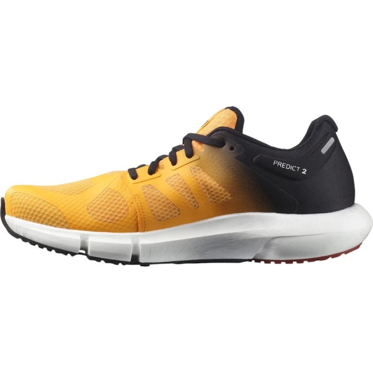 Salomon Predict 2 Men's Running Shoes Mango / Black | CA 83R26